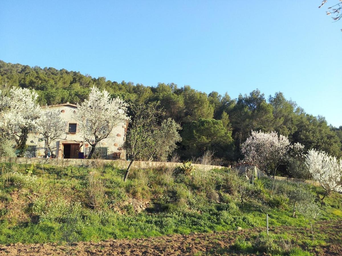 Masia Can Sunyer Agroturismo La Garriga Kültér fotó