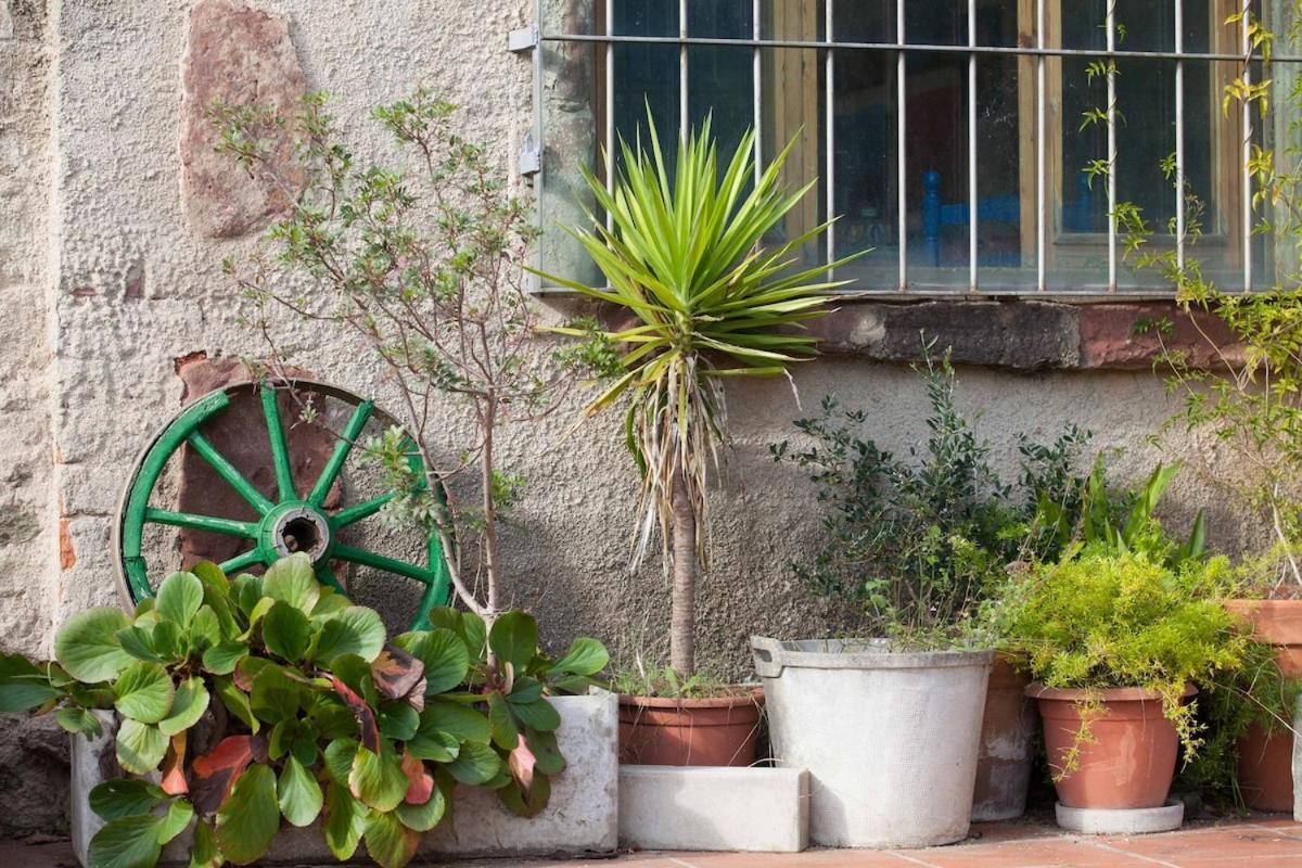 Masia Can Sunyer Agroturismo La Garriga Kültér fotó