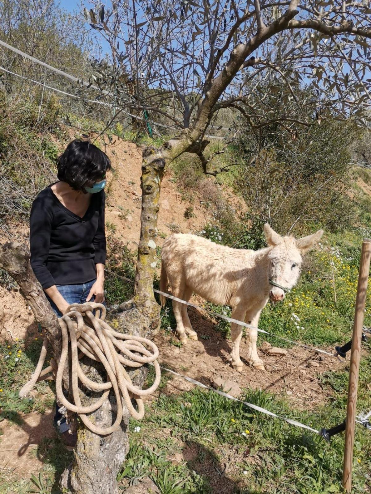 Masia Can Sunyer Agroturismo La Garriga Kültér fotó